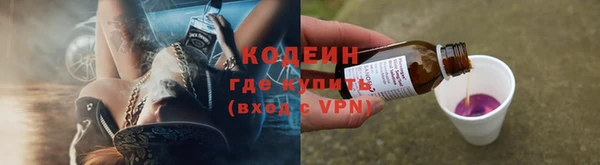 молекула духа Белокуриха