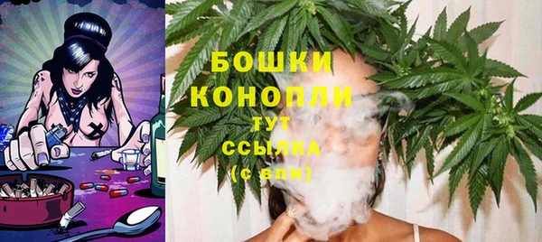 молекула духа Белокуриха
