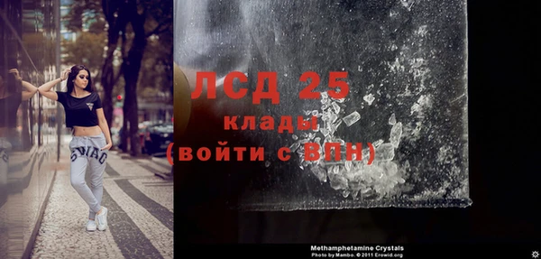 ГАЛЛЮЦИНОГЕННЫЕ ГРИБЫ Надым