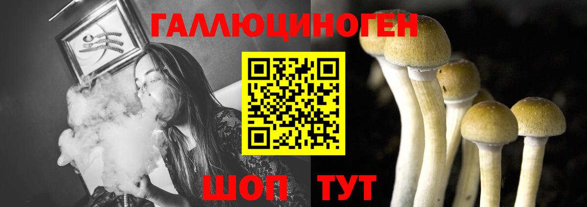 Северск  Псилоцибиновые грибы мицелий  Вход с VPN 